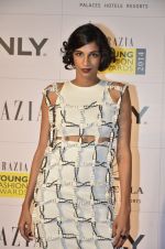 Anushka Manchanda at Grazia Young awards red carpet in Mumbai on 13th April 2014